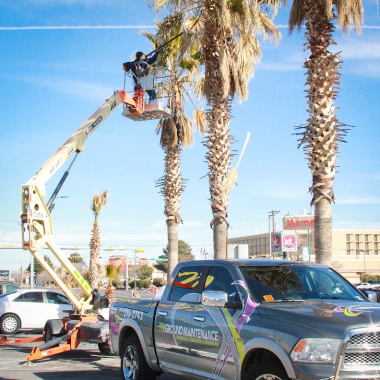 treetrim